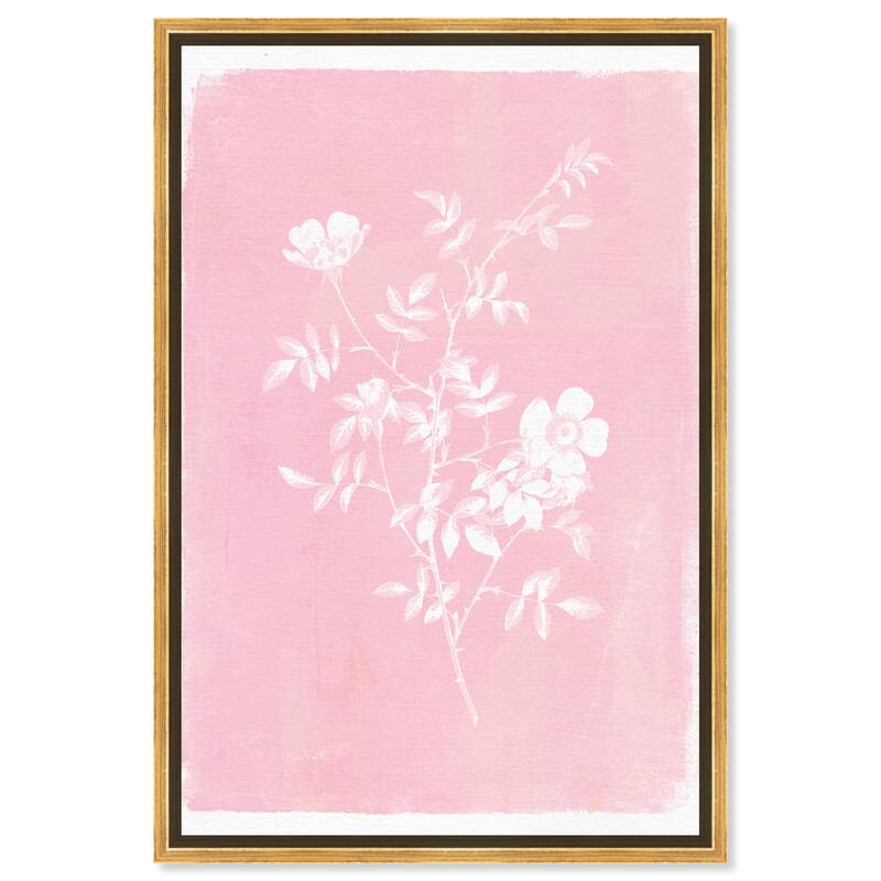 Oliver Gal 'Botanical Illustration Pink' Floral and Botanical Pink Wall