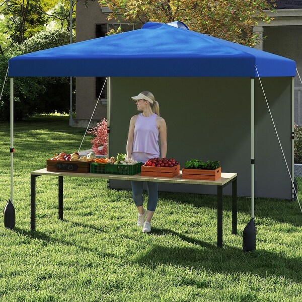 10x10 FT Pop Up Canopy Tent with Sidewall and Wheels for Outdoor