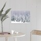 preview thumbnail 8 of 8, "Snow covered pine trees" Canvas Wall Art 24" x 16"