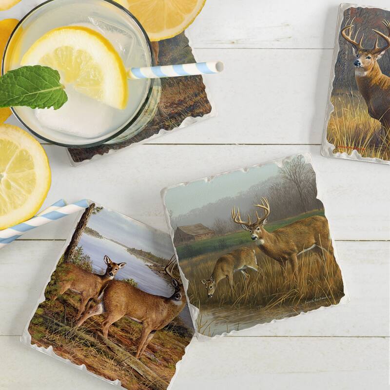 Counterart Absorbent Stone Coaster, Legends, Set of 4 - 4.01x4.07