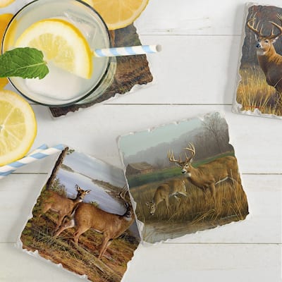 Counterart Absorbent Stone Coaster, Legends, Set of 4 - 4.01x4.07