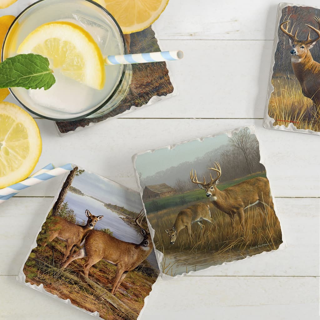 Counterart Absorbent Stone Coaster, Legends, Set of 4 - 4.01x4.07