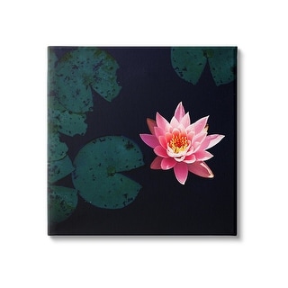 Stupell Pink Lotus Pond Lily Flower Canvas Wall Art by Jessica Manelis ...