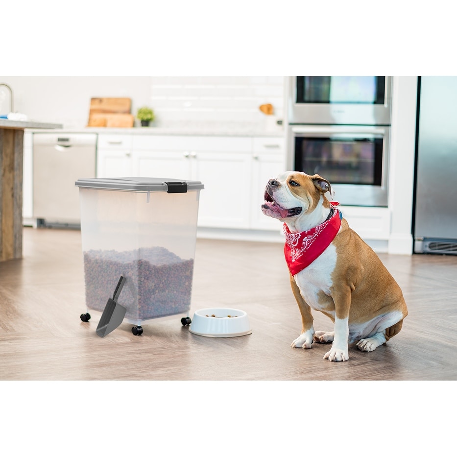 Dual dog food container cheap