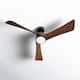 Option Black with Brown Wood Blades