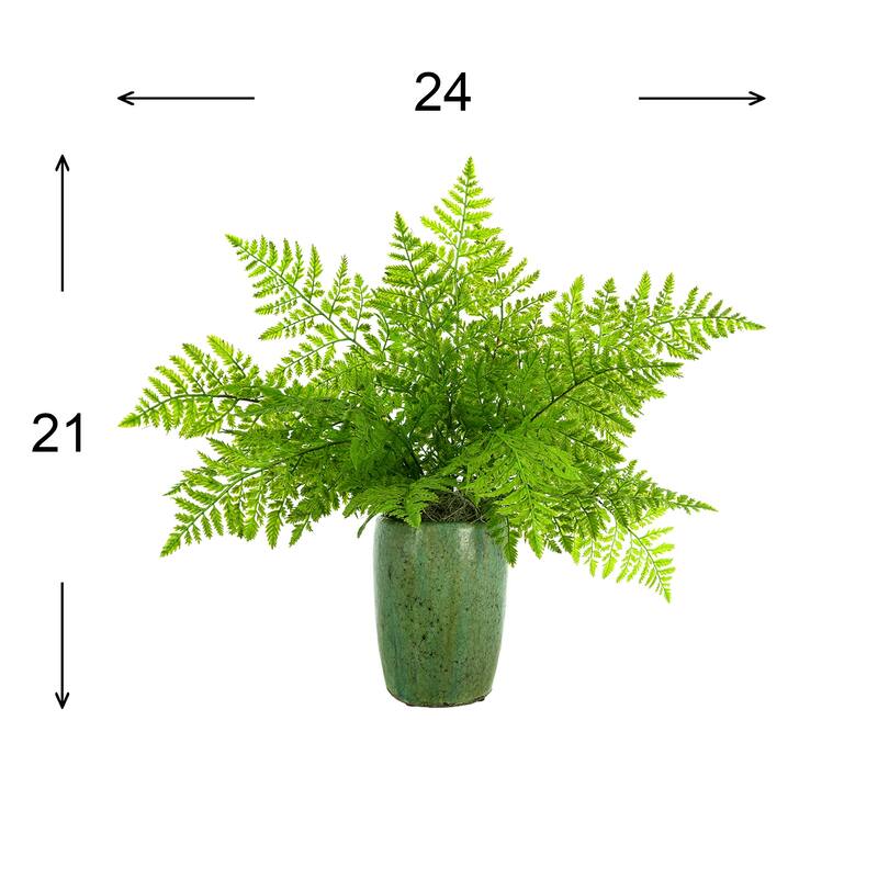Organic Modern Fern Arranged in a Ceramic Pot - Green
