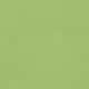 Option Ginkgo Green