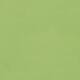 Option Ginkgo Green