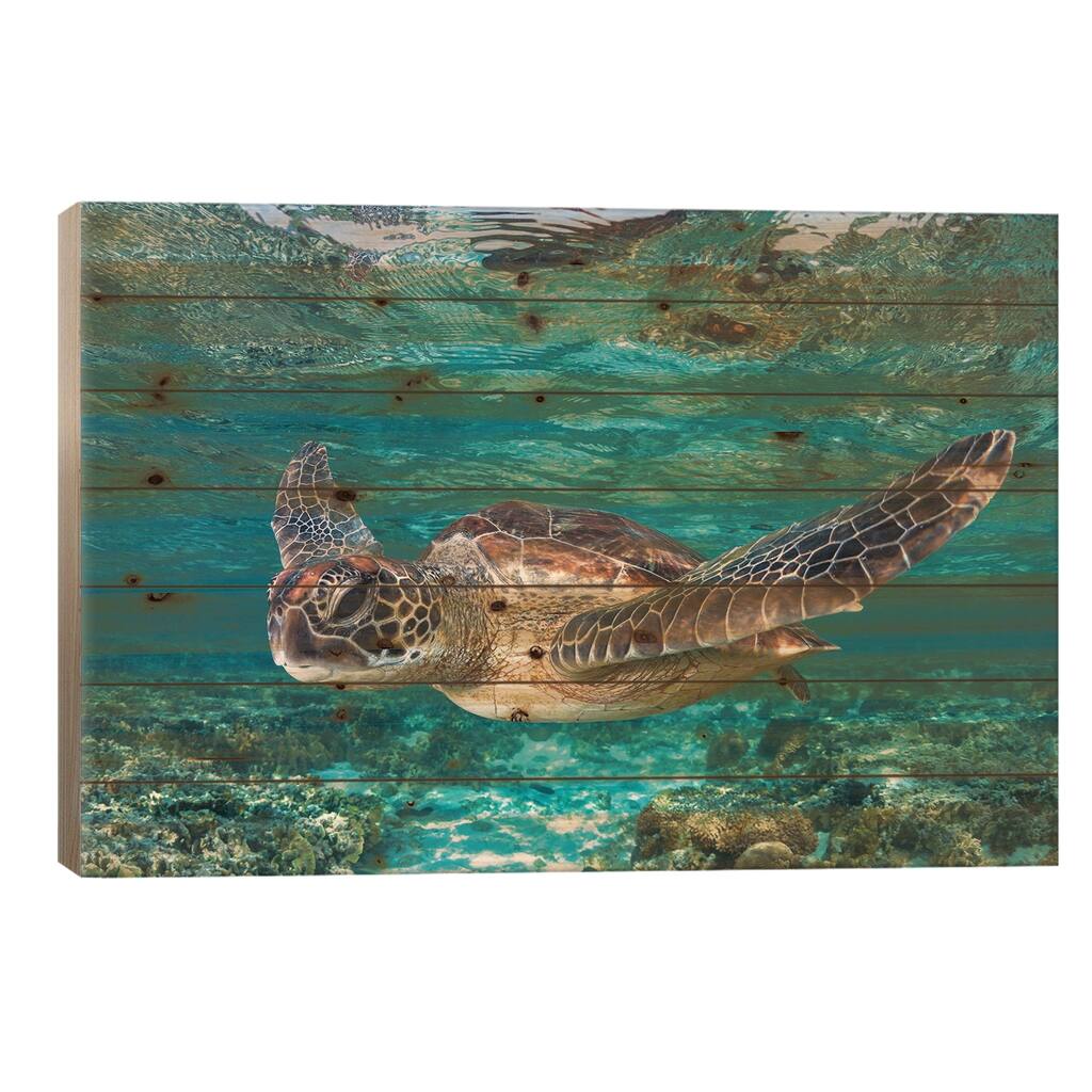 Learn To Fly Print On Wood by Jordan Robins - Multi-Color