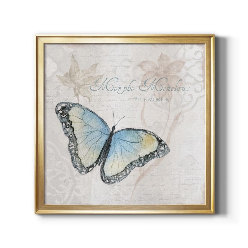 Postcard Butterfly III-Premium Framed Canvas - Ready to Hang - 22.5x22.5 - Gold