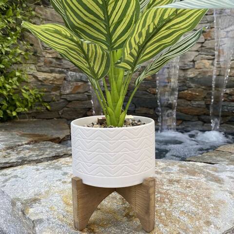 5" Wavy Ceramic Planter On Wood Stand