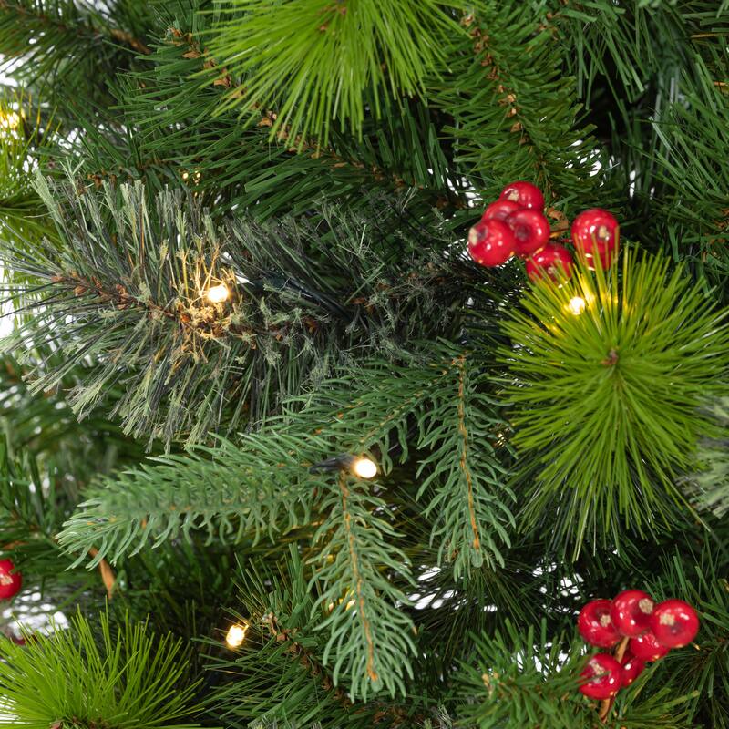 6ft Pre Lit Warm White LED Potted Hard Needle Douglas Pine