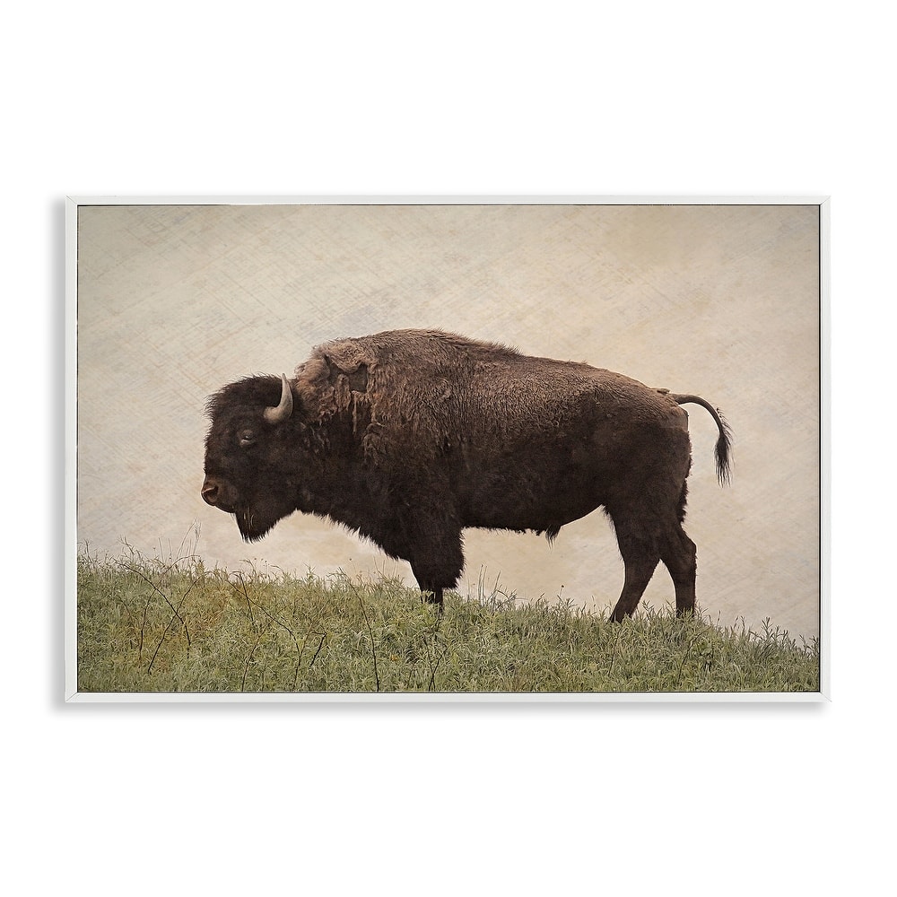 Stupell Serene Buffalo on Country Hill Framed Giclee Art Design By Steve Toole