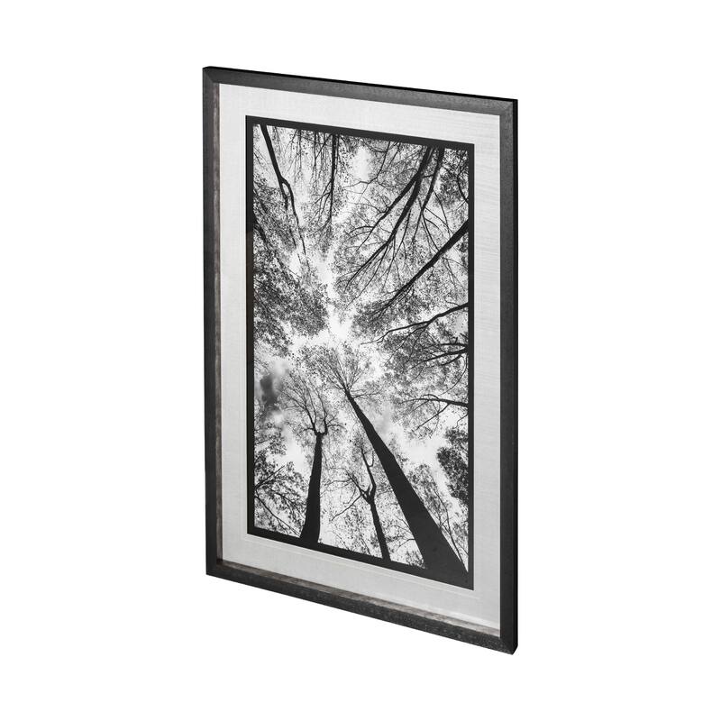 Looking Up I BW Framed Art Print