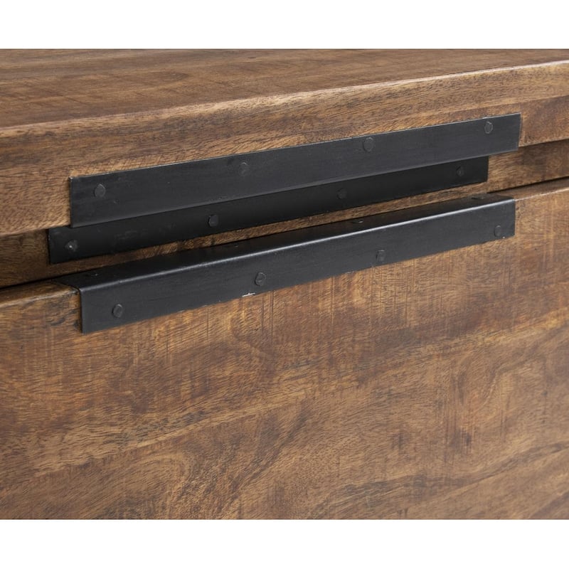 Zoe Storage Trunk by Kosas Home