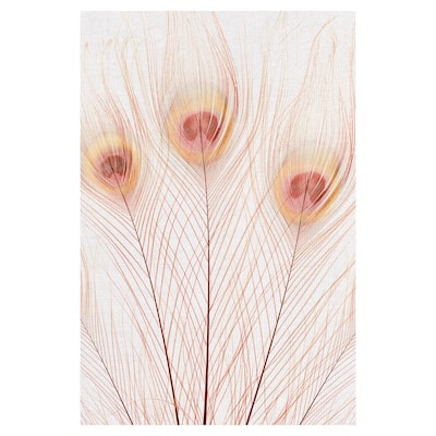 Peach Peacock by Belle Maison Canvas Art Print