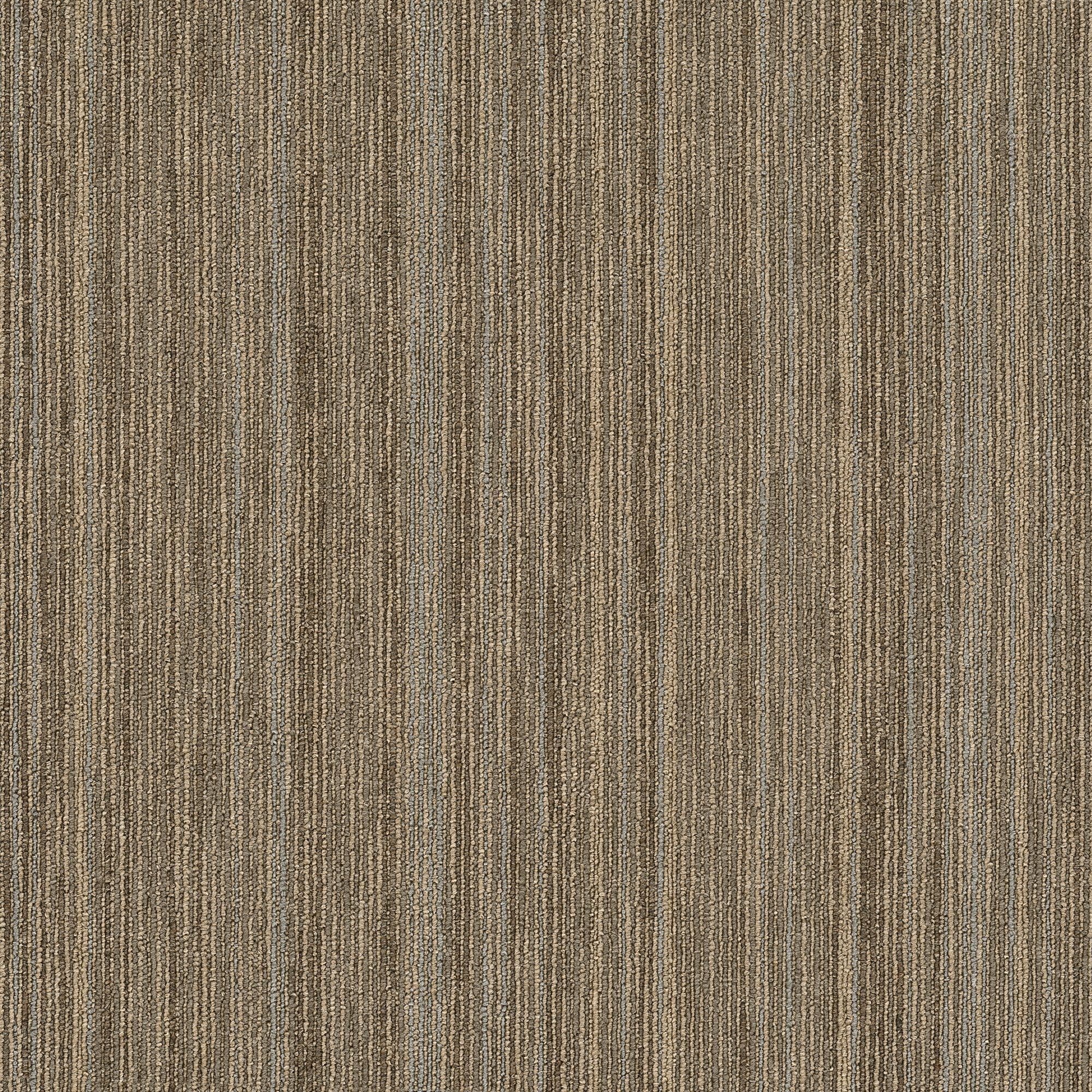 Shaw Philadelphia Commercial Intellect 24" x 24" Glue Down Carpet Tile