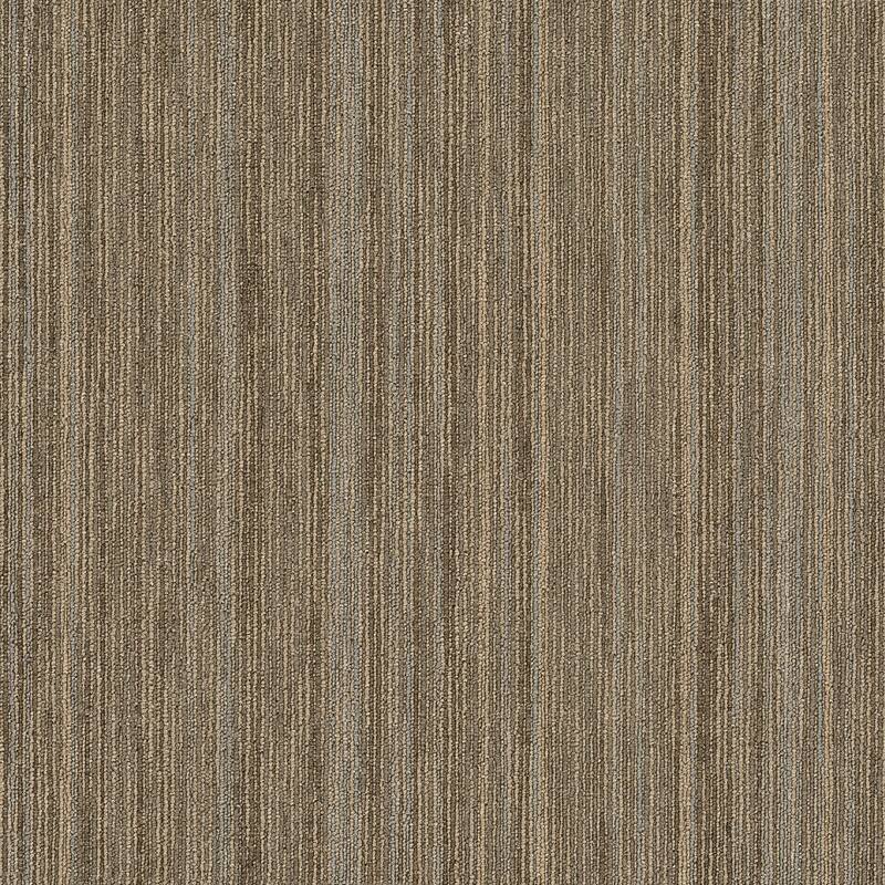 Shaw Philadelphia Commercial Intellect 24" x 24" Glue Down Carpet Tile - Scholarly