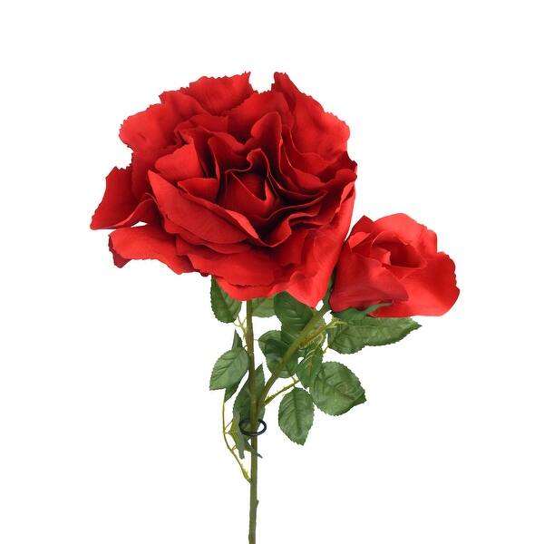 Shop A Bundle Of 6 Long Stem Roses And Rose Buds On Sale Overstock 31879887
