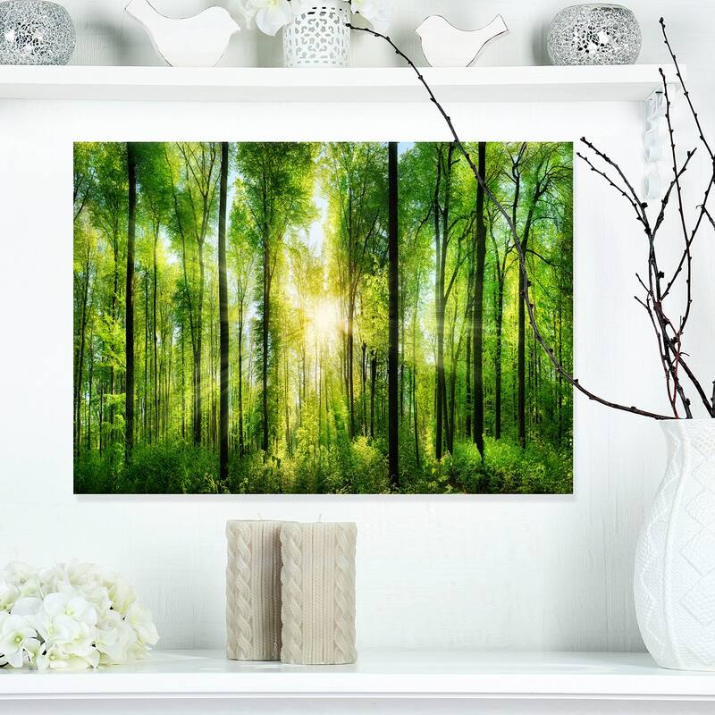 Designart "Forest with Rays of Sun Panorama" Landscape Canvas Print - 20 in. wide x 12 in. high - 1 Panel