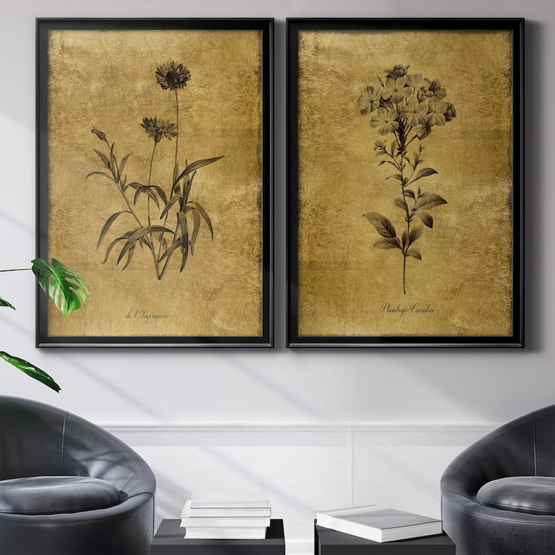 Gold Sketch Botanical I Premium Framed Print - Ready to Hang - Multi-Color