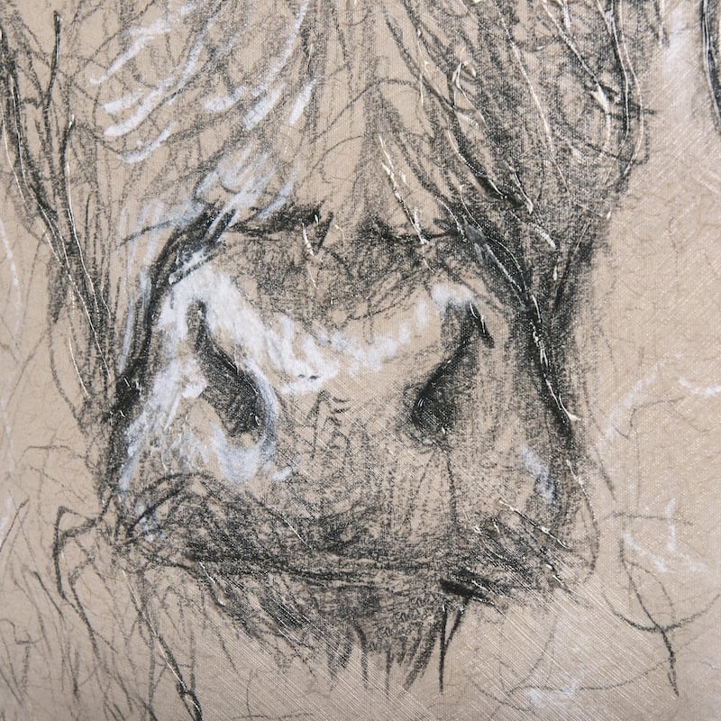 Sketch of Animal VIII (Highland Bull) (30 x 30) Canvas Art Print