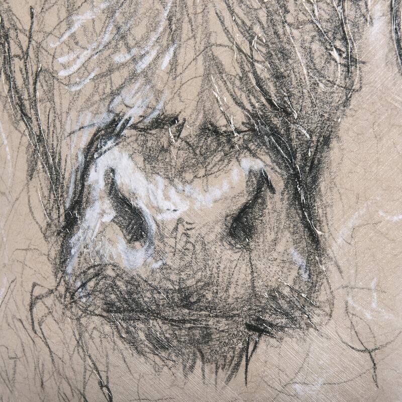 Sketch of Animal VIII (Highland Bull) (44 x 44) Canvas Art Print
