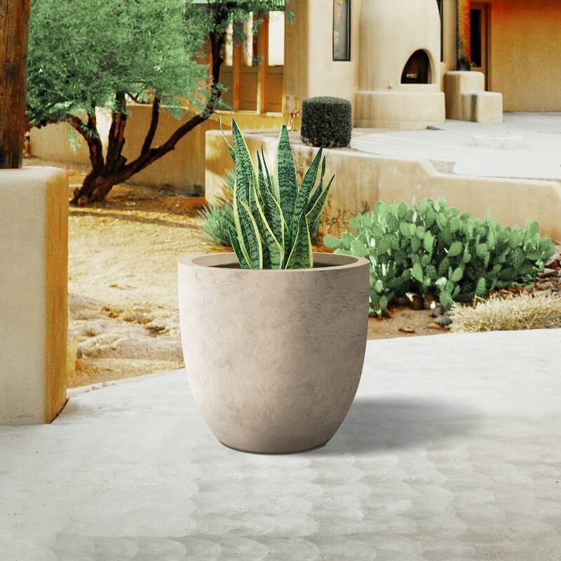 Plantara 14"D Round Concrete planter with Drainage Hole, Outdoor Flower pot, Modern Planter pot for Garden