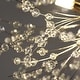 preview thumbnail 49 of 79, 8/9/12/16-Light Modern Linear Sputnik Firework Dandelion Crystal Chandelier