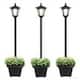 Option 3 Pcs/withPlanter
