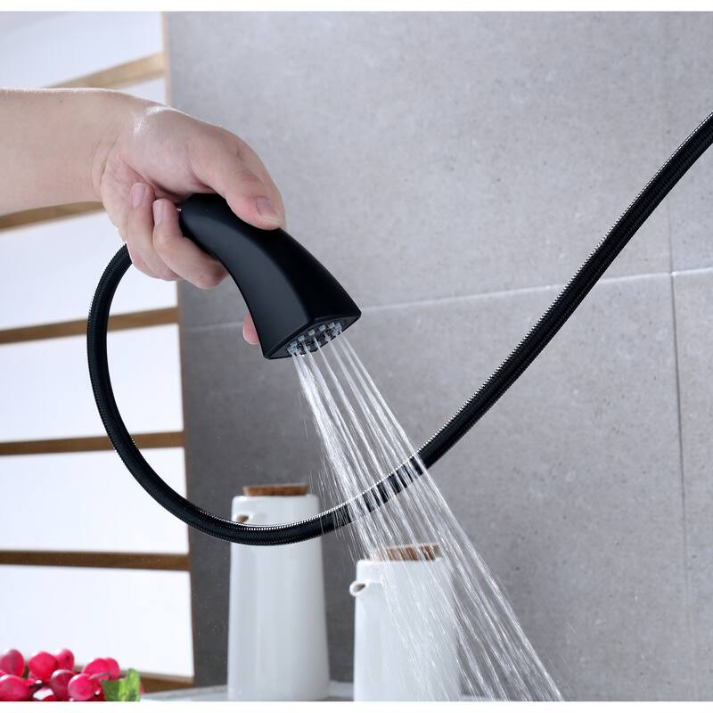 Ultra Faucets Quest Collection Single-Handle Kitchen Faucet With Pull-Down Spray