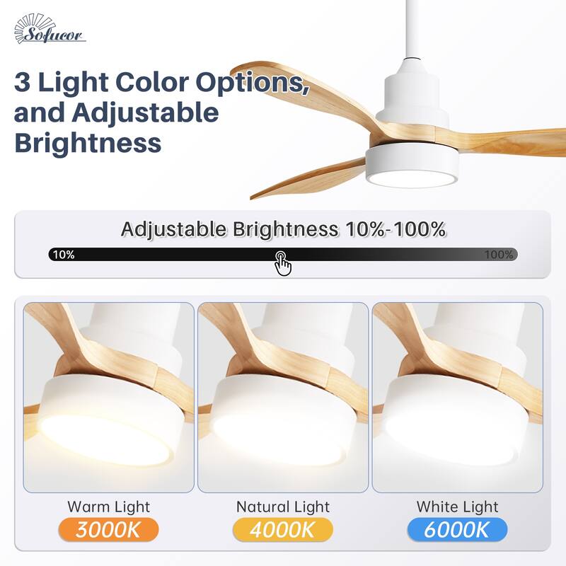 Modern Ceiling Fan With Light Smart Life APP Remote Control Timer For Alexa Google Bedroom Farmhouse