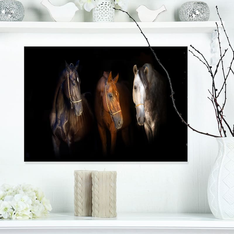 Designart "Three Horses with Golden Bridle" Animal Canvas Art Print - 20 in. wide x 12 in. high