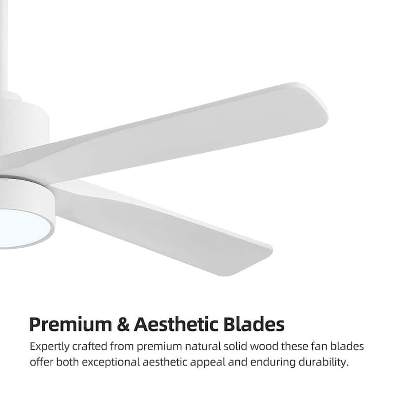 WINGBO 54" and 64" 5 ABS Blades DC Motor Indoor Ceiling Fan with Light & Remote