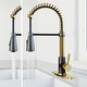 preview thumbnail 3 of 90, VIGO Brant Pull-Down Kitchen Faucet