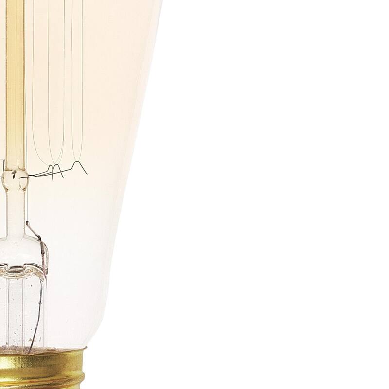 Westinghouse Lighting 60-Watt Clear ST20 Timeless Vintage Inspired Bulb with Medium Base - Warm White