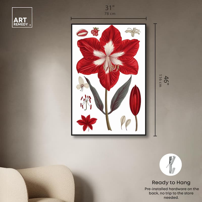 Amaryllis Anatomy Canvas by Art Remedy