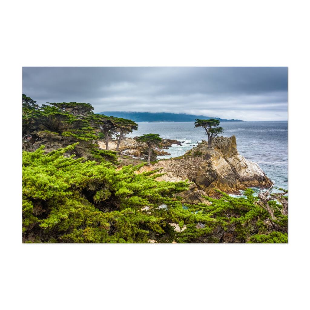 Monterey California The Lone Cypress Photography Art Print/Poster