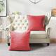 Option Coral spice