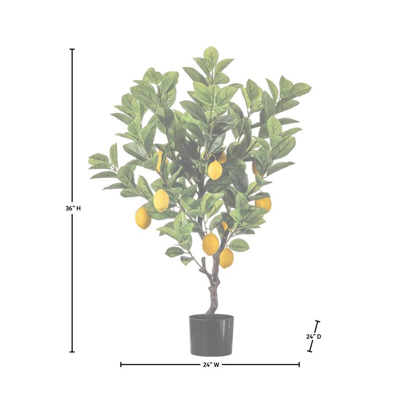 36" Potted Lemon Bush