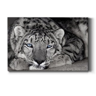 Snow Leopard Sanctuary Premium Gallery Wrapped Canvas - Ready To Hang 