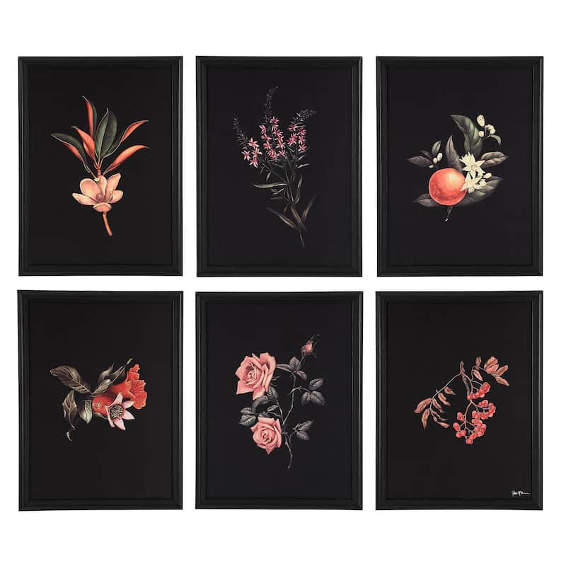 Renwil Wallflower Rag Paper 6-Piece Wall Art with Black Frame