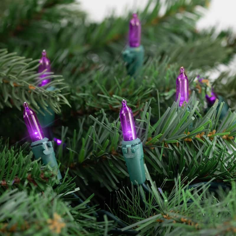 50ct Purple LED Mini Christmas Lights 16.25ft Green Wire - 16.25'