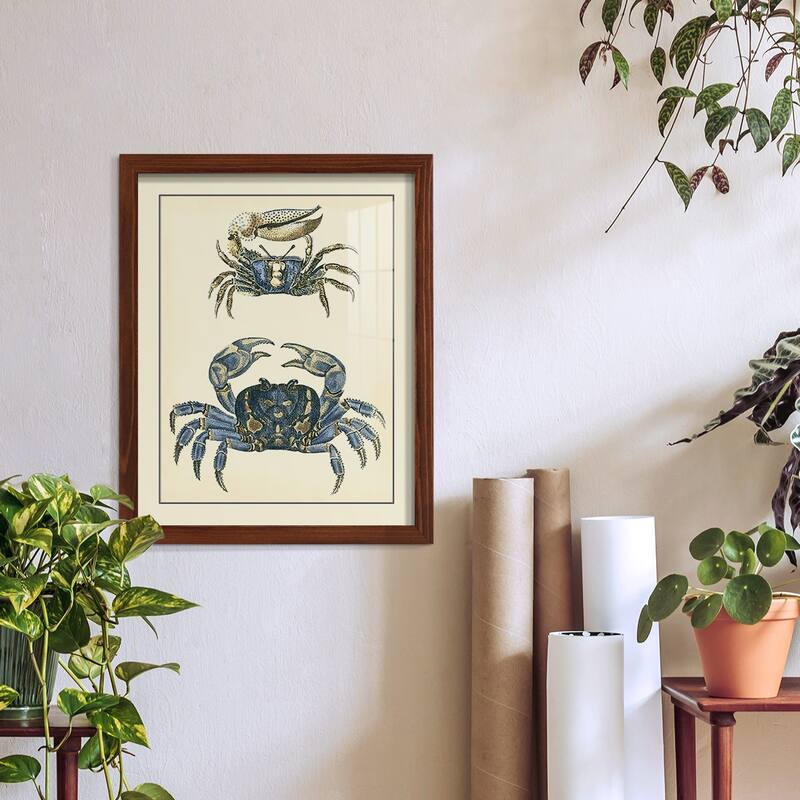 Antique Blue Crabs II -Framed Print w/glass-Cherry Red