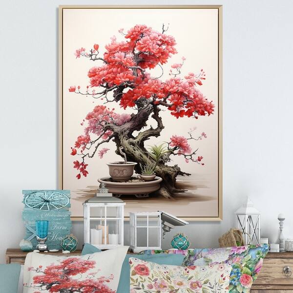 judasbaum bonsai samen Exotische Bonsai Samen mit hoher Keimrate