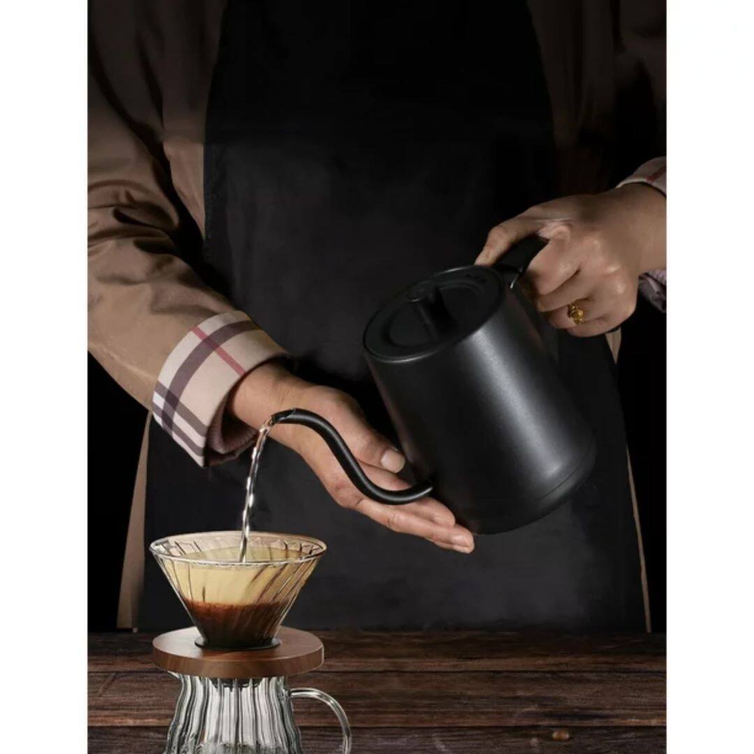 Gooseneck Electric Pourover Kettle, Temperature Variable Stainless