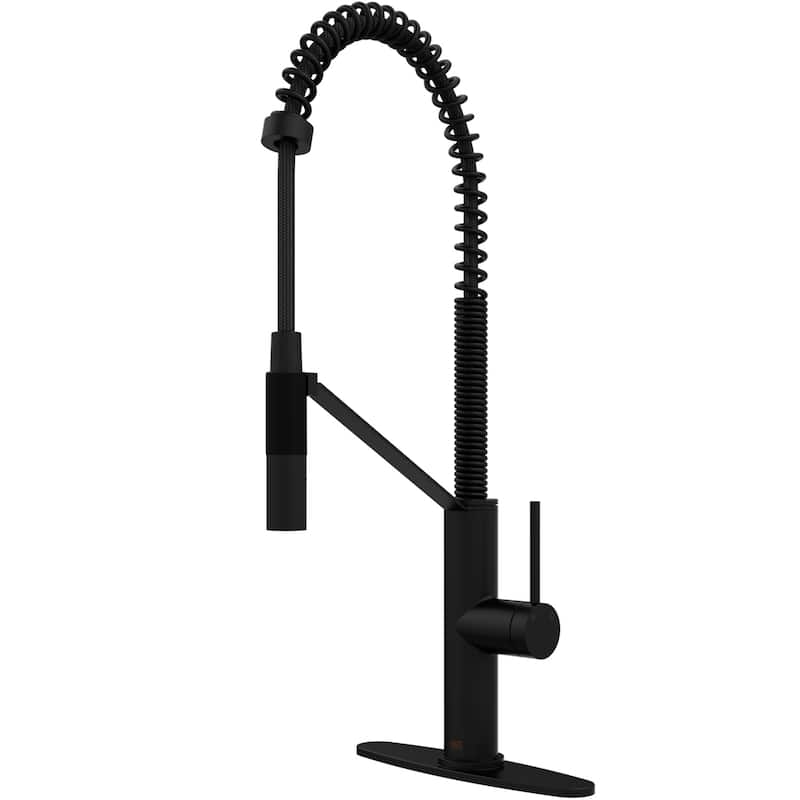 VIGO Livingston 24" H Single Handle Pull-Down Sprayer Kitchen Faucet