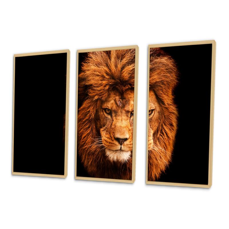 Designart "Face of Male Lion on Black" Animal Framed Canvas Wall Art