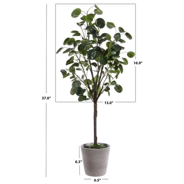 SAFAVIEH Faux Polyscias Fruticosa Potted Tree - 16.9" W x 13" L x 49" H