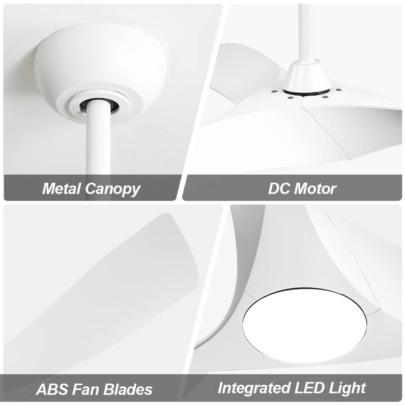 WINGBO 52" Ceiling Fan with Lights and Remote Noiseless Reversible DC Motor - N/A